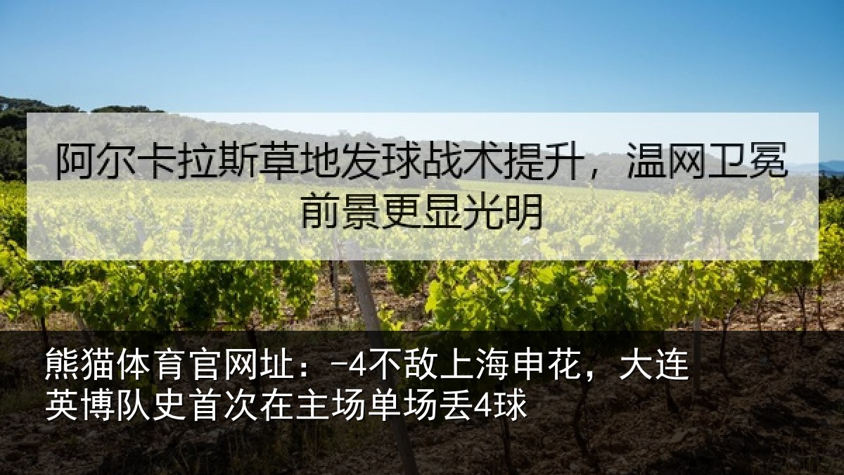 熊猫体育官网址:-4不敌上海申花,大连英博队史相关情况4球