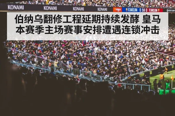 football fans stands