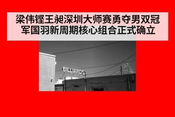 梁伟铿王昶深圳大师赛勇夺男双冠军国羽新周期核心组合正式确立